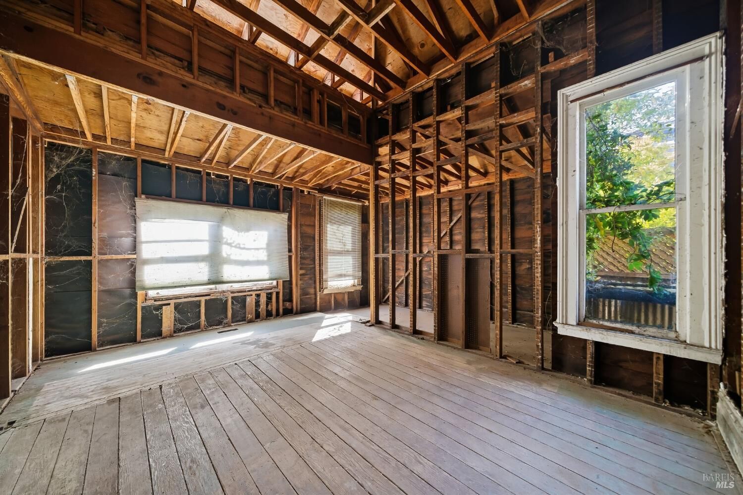 Property Photo:  226 Bayview Street  CA 94901 