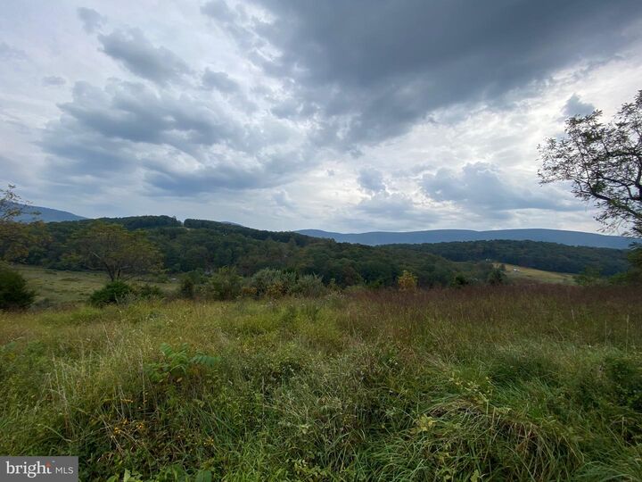 Property Photo:  Gooney Manor Loop  VA 22610 