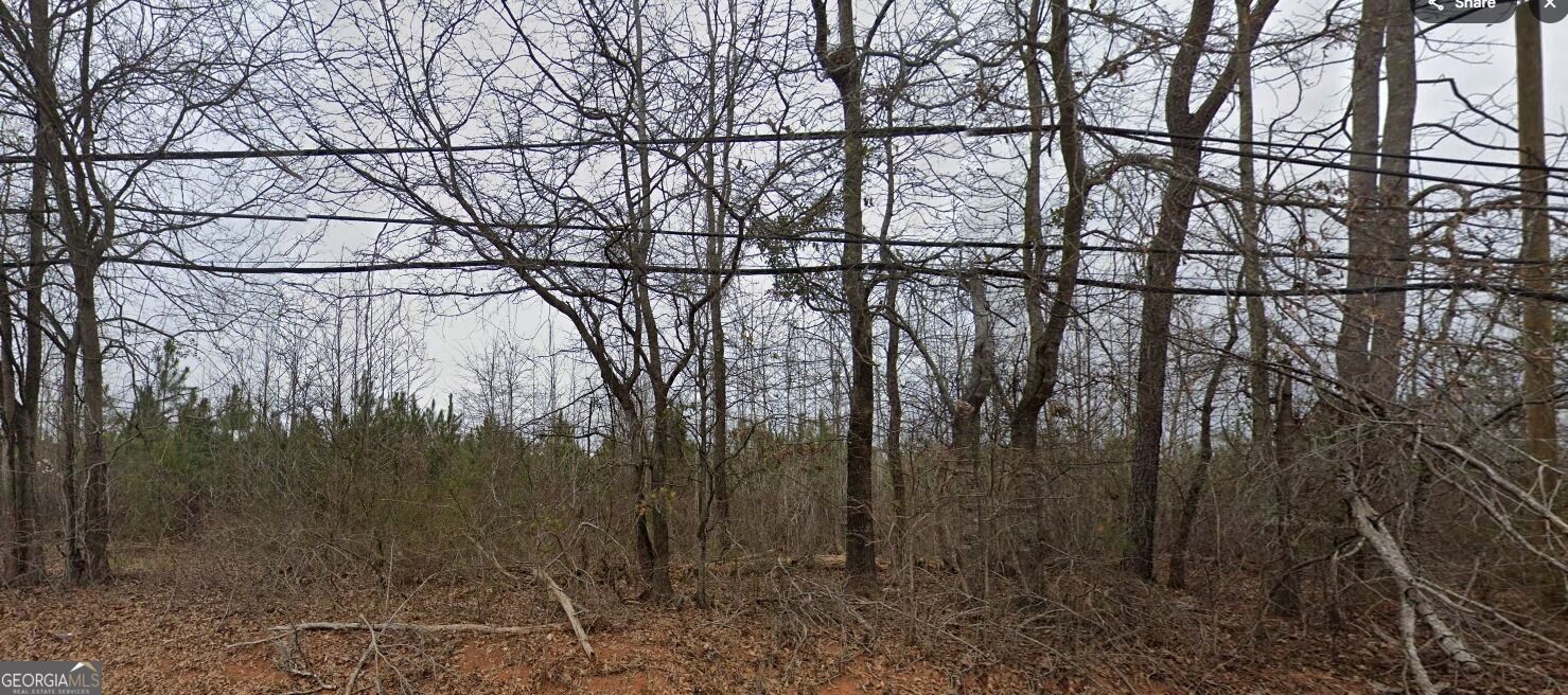 Property Photo: 1765 High Falls Road GA 30223