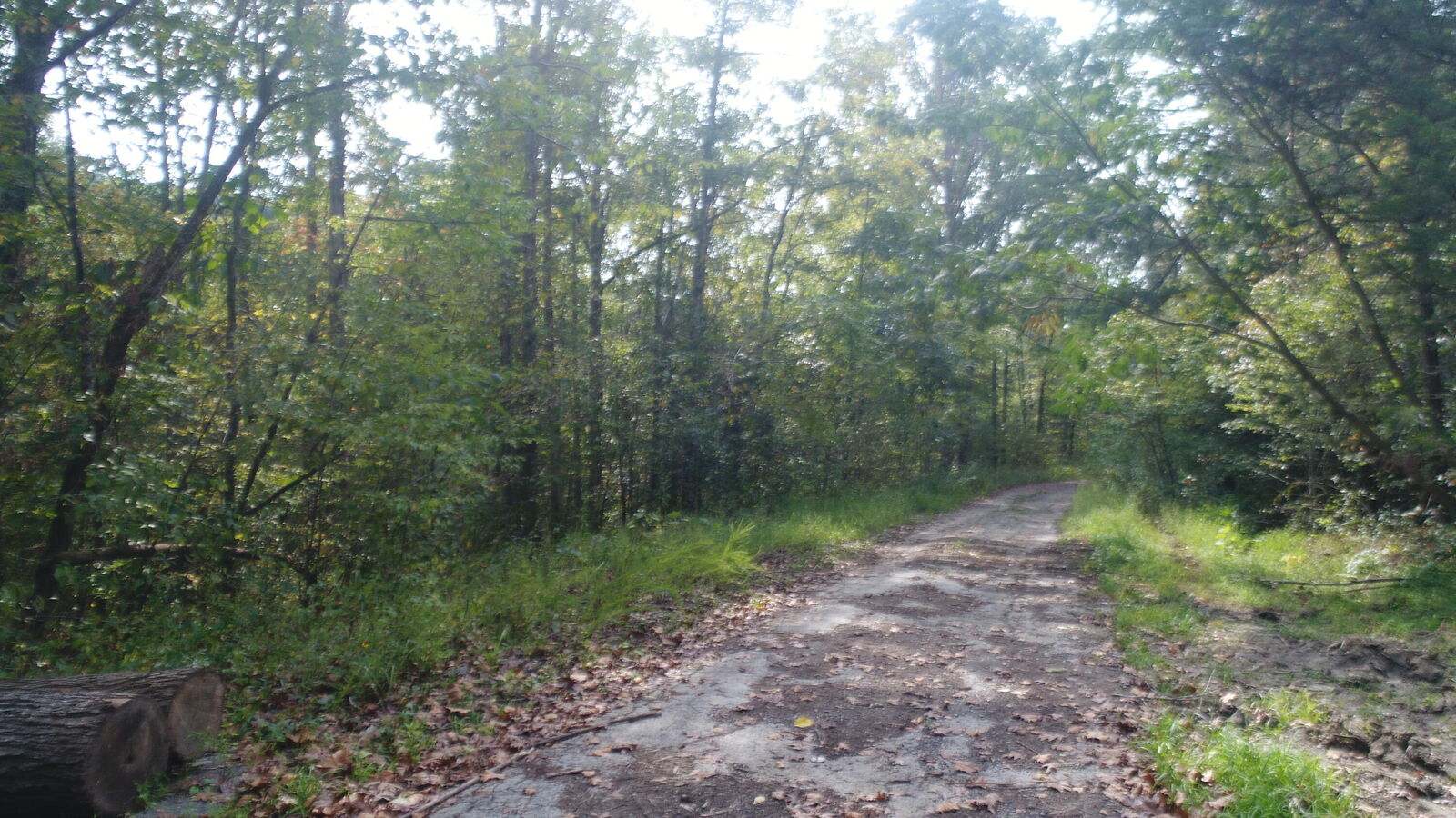 Property Photo:  15001 South Hwy 27  KY 41519 