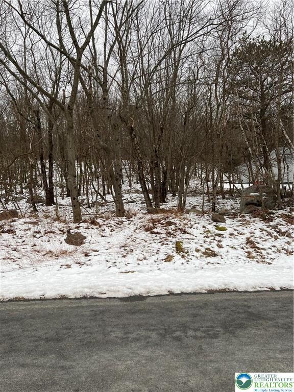 Property Photo:  767 Hidden Lake Drive  PA 18302 