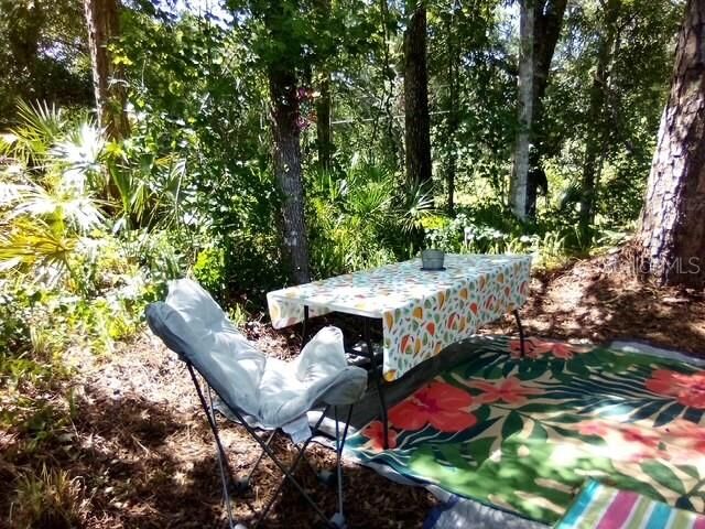 Property Photo: 0 Salinas Avenue New Port Richey, Fl 34654 Avenue FL 34654