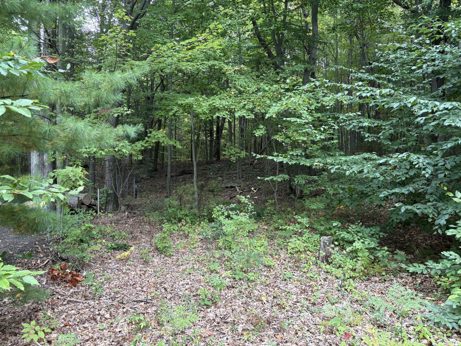 Property Photo: Lot 62, 14th Avenue MI 49436