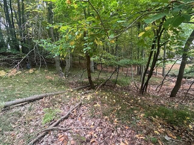 Property Photo: 11269 Apache Wells Court MI 49346