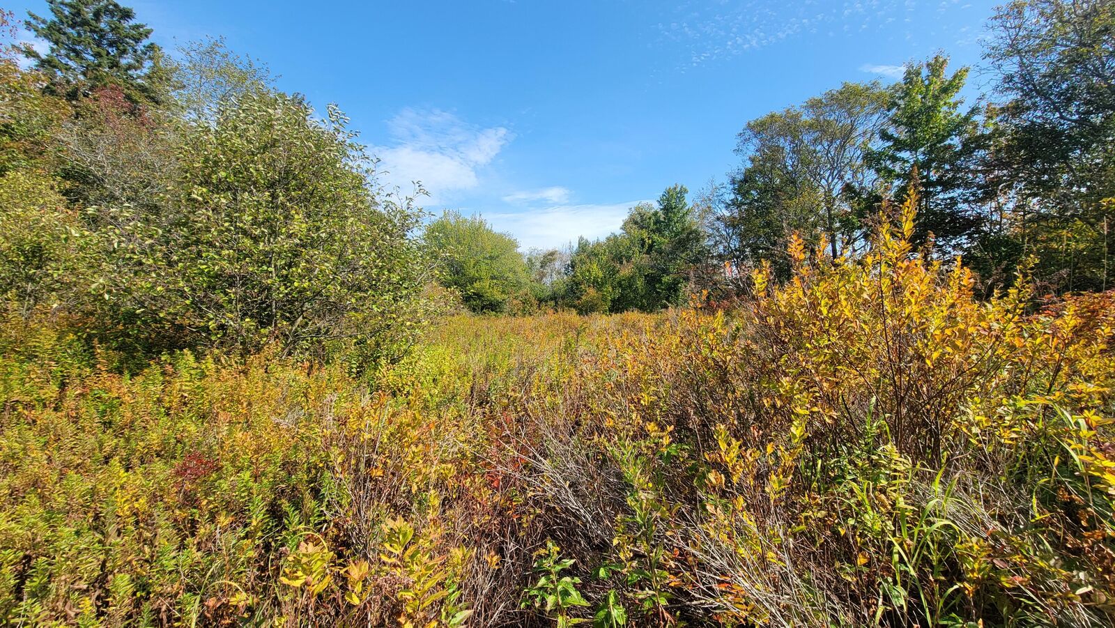 Property Photo:  7 Deerfield Drive  ME 04649 