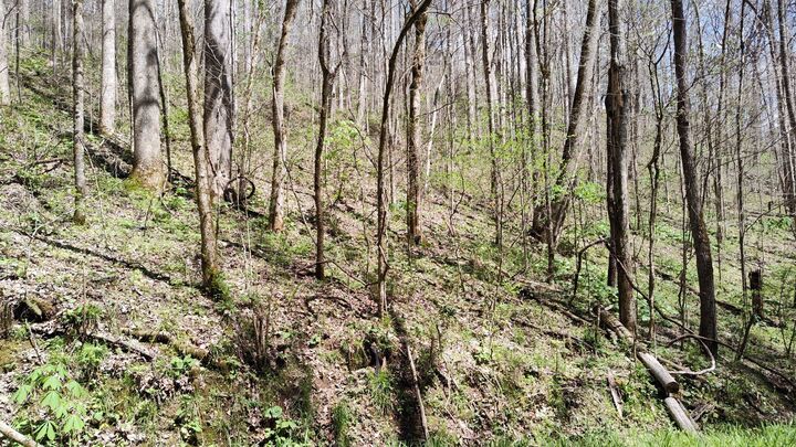 Property Photo:  74 Cherokee Dr  TN 37166 