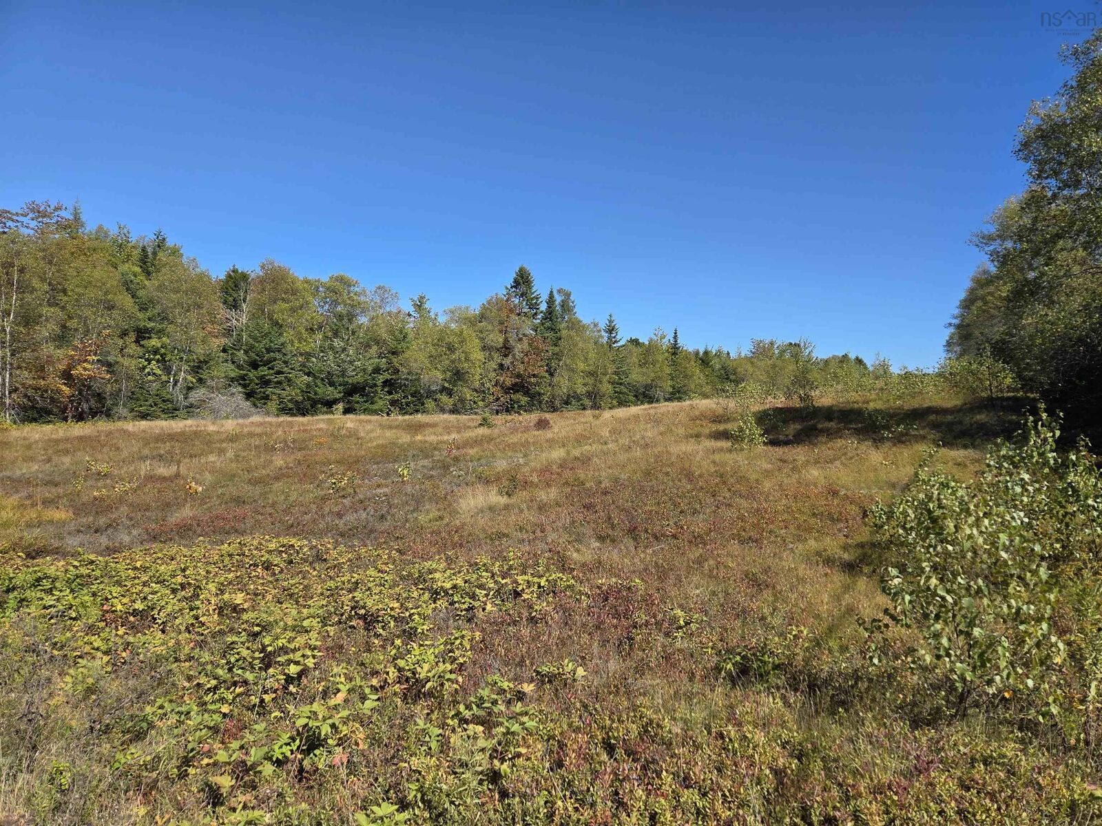 Property Photo:  Mines Bass River Road  NS B0M 1B0 