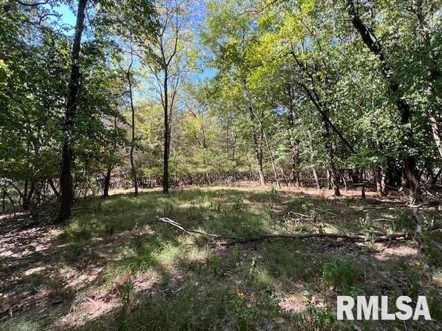 Property Photo:  000 Barnett Street  IL 62918