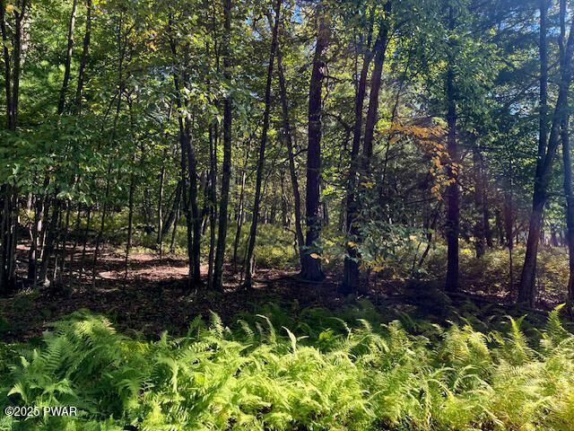 Property Photo: Lot 427 Squirrel Road PA 18328