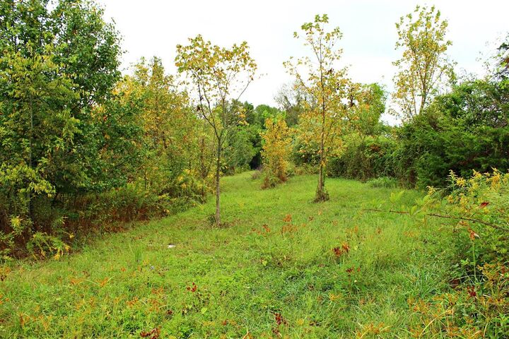 Property Photo:  Lot 1 Runner Road  KY 42101 