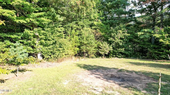 565 Greene Mountain Road  Greeneville TN 37743 photo