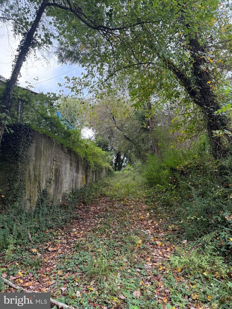 Property Photo:  160 Chase Street  VA 22427 