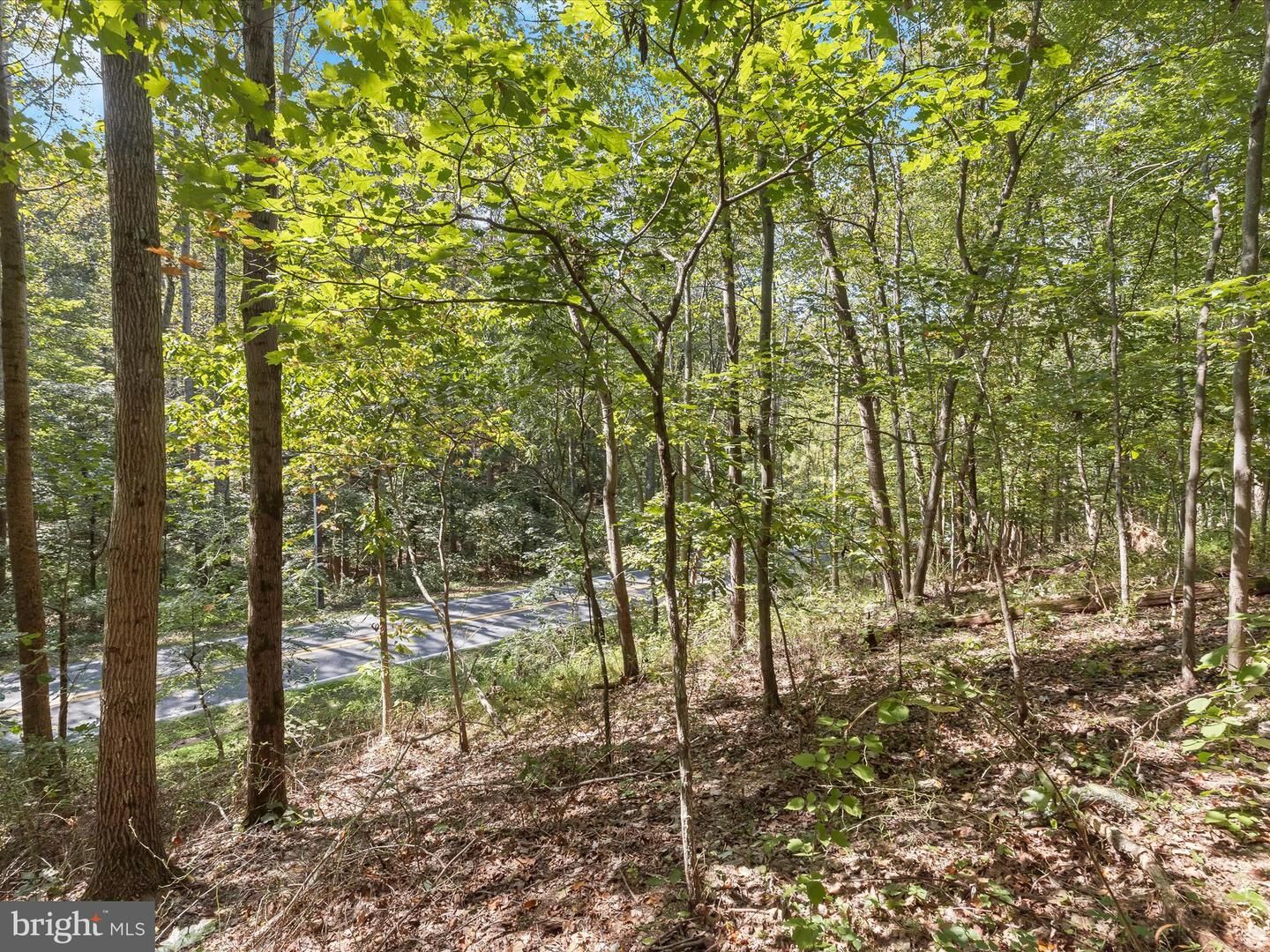 Property Photo:  Silver Run Valley  MD 21158 