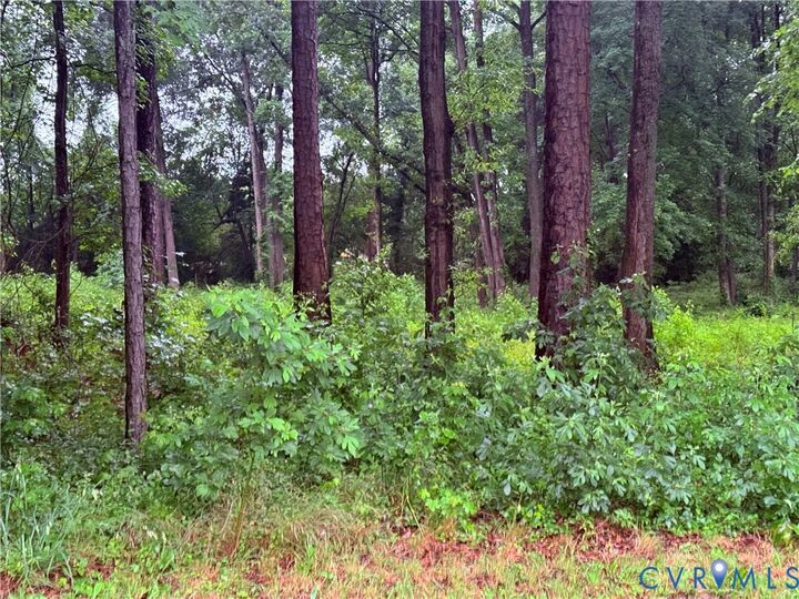 Property Photo:  621 N Airport Drive  VA 23075 