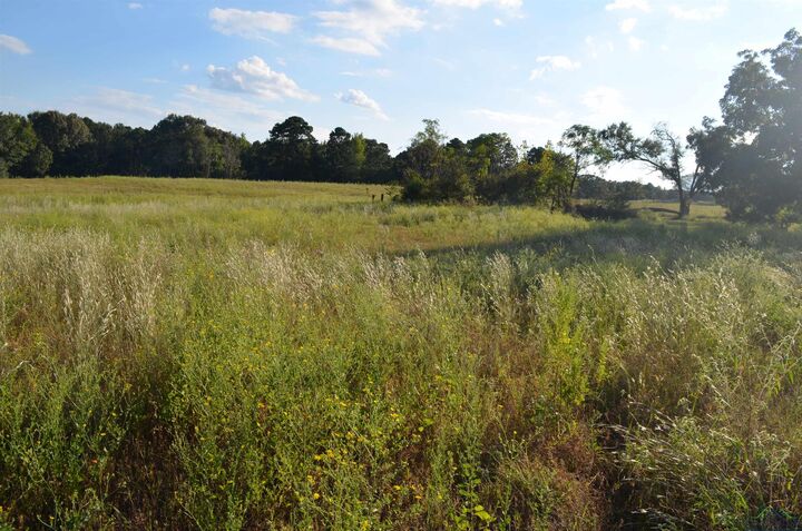 Property Photo: 6539 S County Road 401 TX 75652