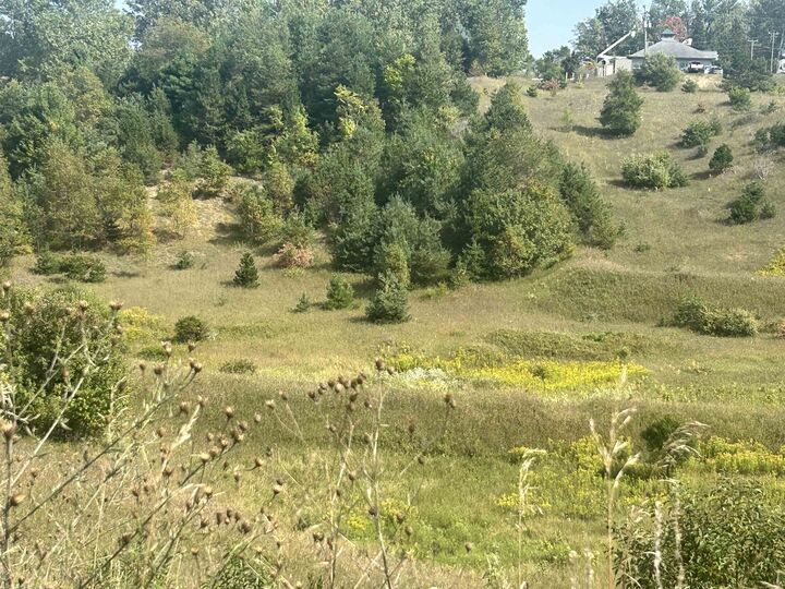 Property Photo:  000 Solon Road  MI 49684 