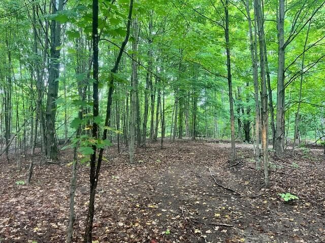 Property Photo:  10526 Nine Mile Road  MI 49645 