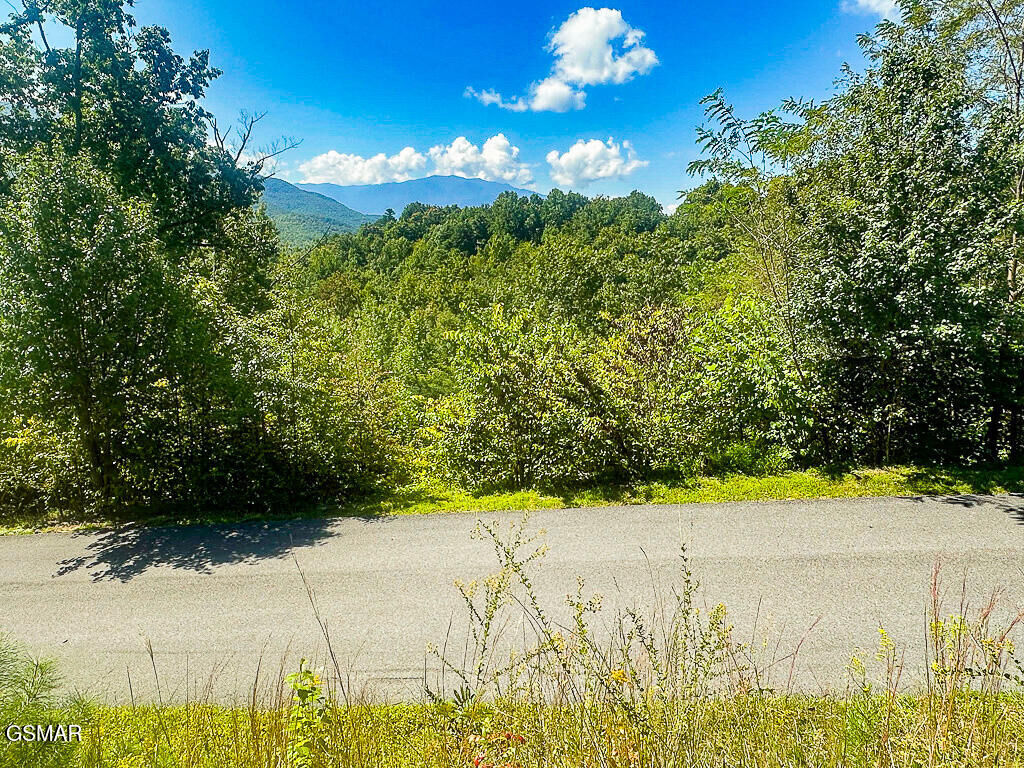 Property Photo: Lot 78 Vixen Run TN 37738
