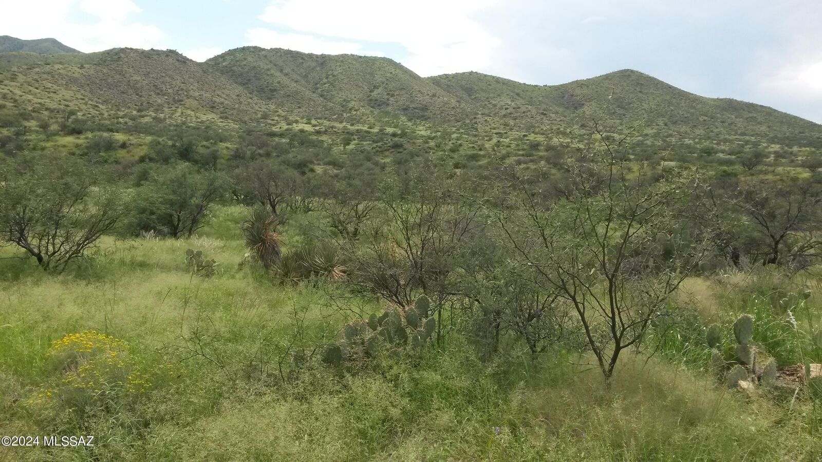 Property Photo:  S Goodenough Trail Lot 1  AZ 85641 