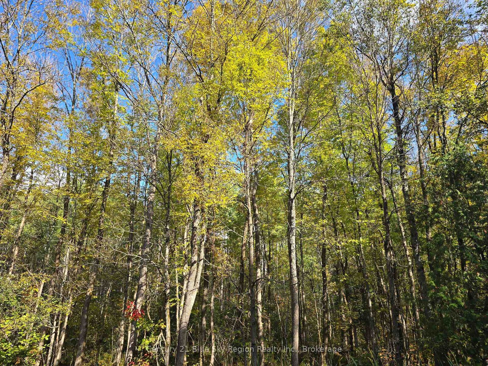 Property Photo:  Lot 5 Con 3 Guillemette Road  ON P0H 2C0 