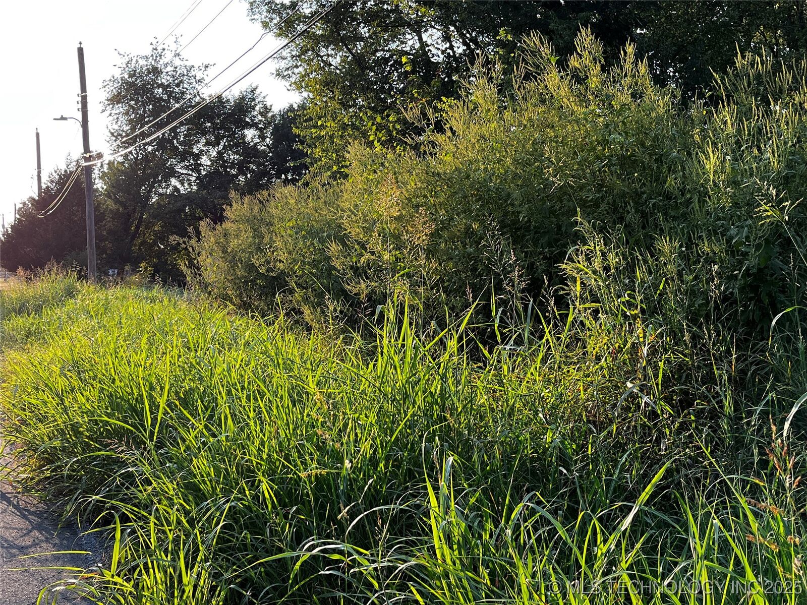 Property Photo:  W Dixie Land Avenue  OK 74454 