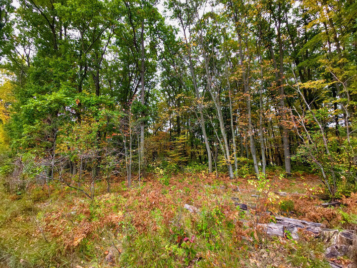 Property Photo:  V/L N Reserve Rd - Lots 335 &Amp 336  MI 48653 