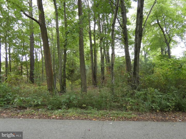 Property Photo:  Sharp Street  MD 21661 