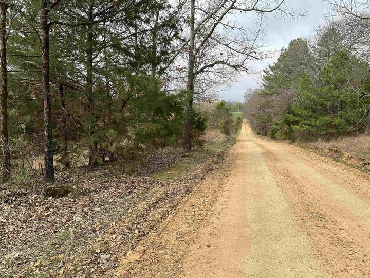 Property Photo: Lot 5 Raby Road AR 72432