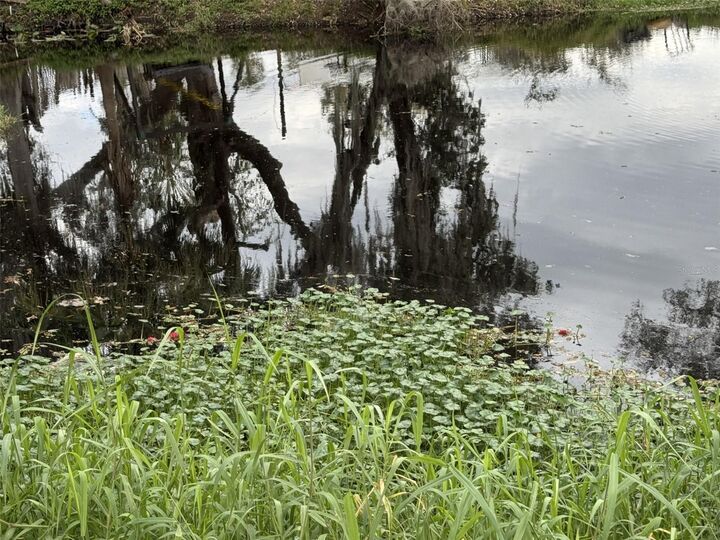 Property Photo:  5011 Pineapple Street  FL 33898