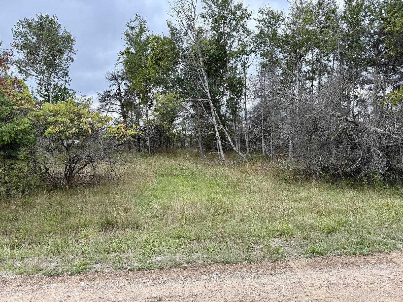 Property Photo:  1 Greenway  MI 49675 