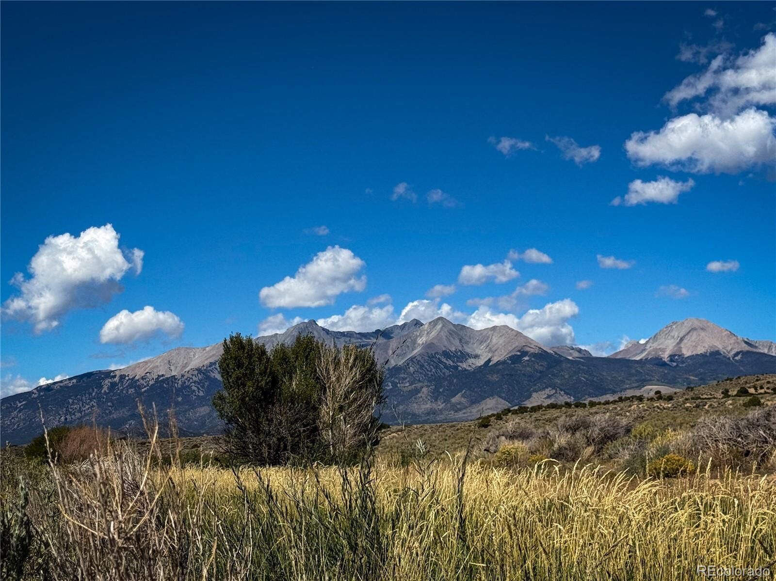 Property Photo:  00 Herbert Road  CO 81133 