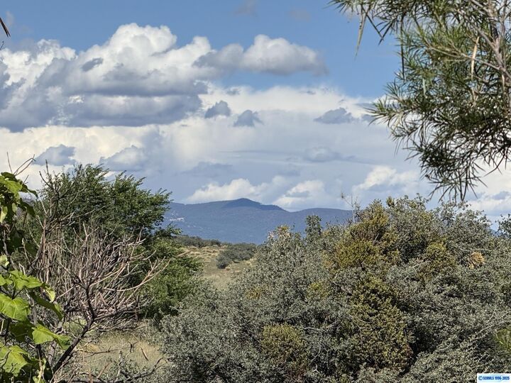 Property Photo:  510 Copper Drive  NM 88065 
