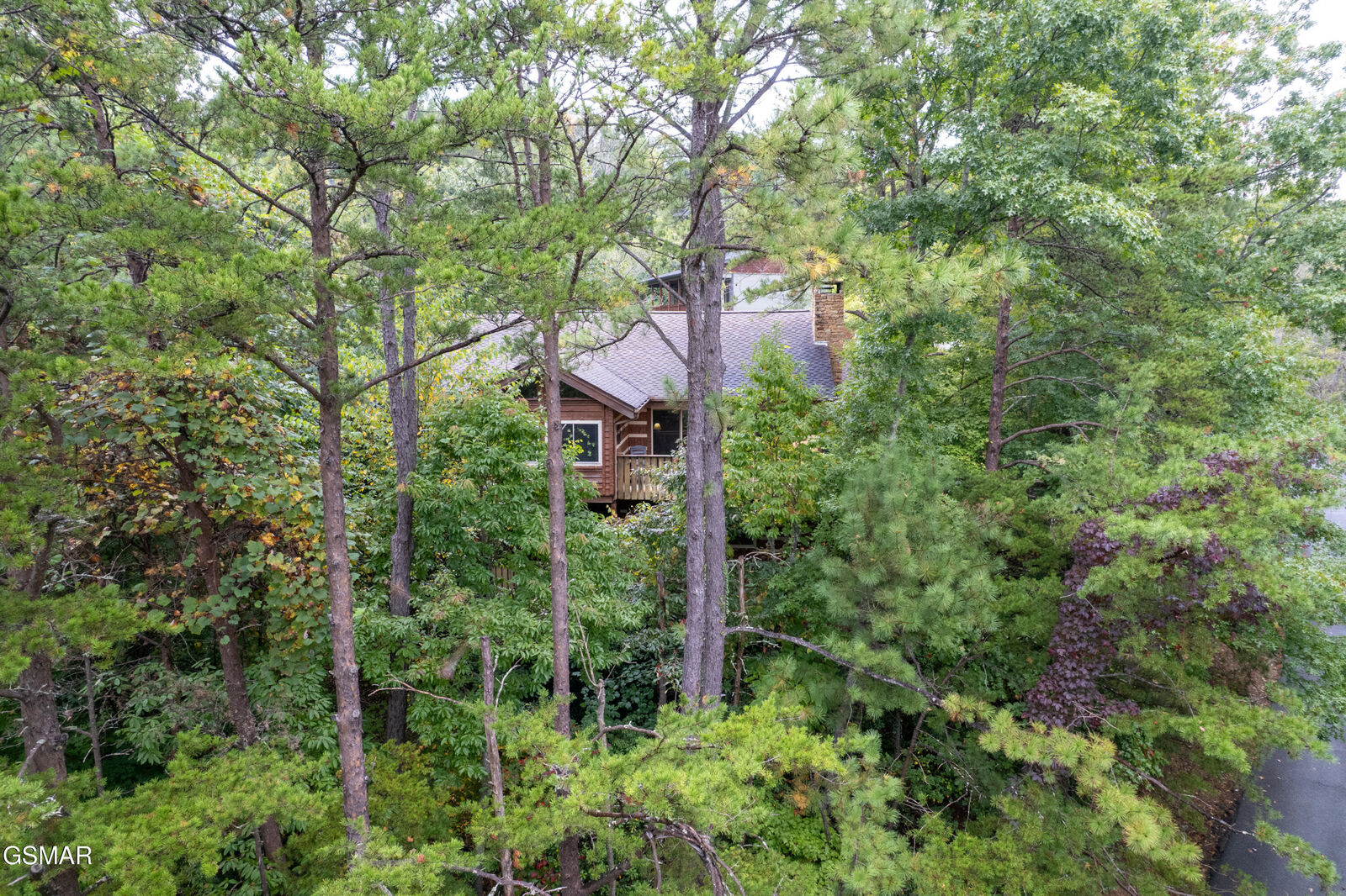 Property Photo:  317 Matterhorn Drive  TN 37738 