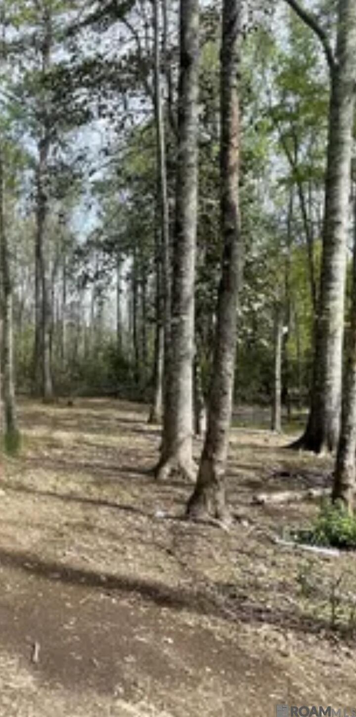 Property Photo:  5392 N Gilead Rd  LA 70722 