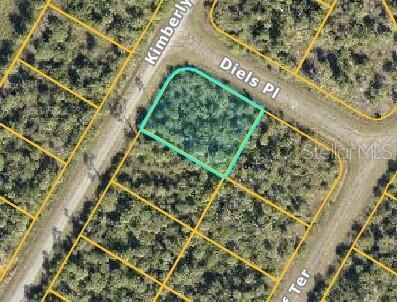 Property Photo: Diels Place FL 34288