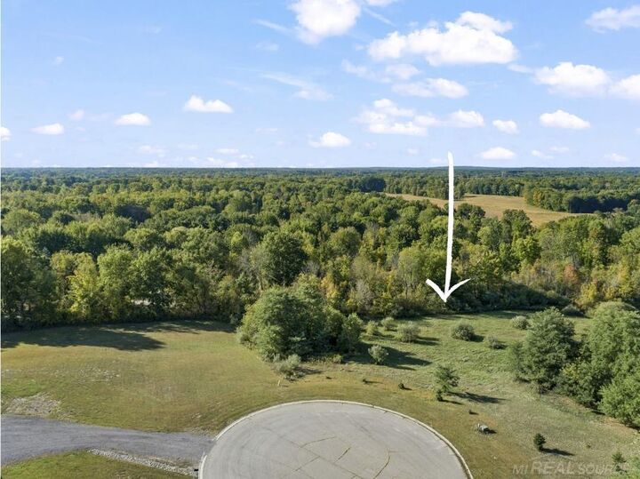 Property Photo:  0 Abby Court  MI 48428 