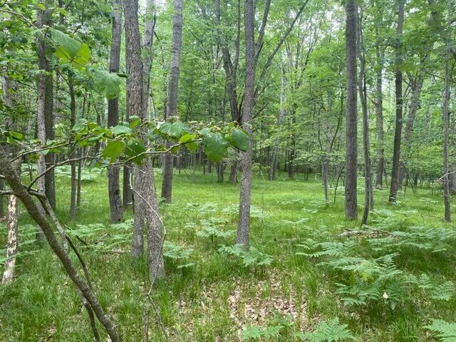 Property Photo: 12060 Chinook Drive MI 49346