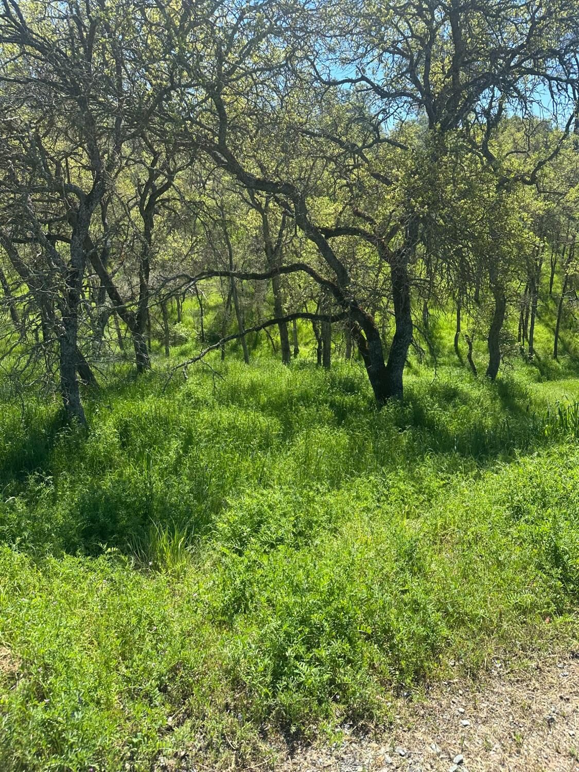 Property Photo:  6296 Friedman Way  CA 95252 