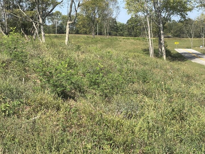 Property Photo:  0 1316 Hwy  KY 41086 