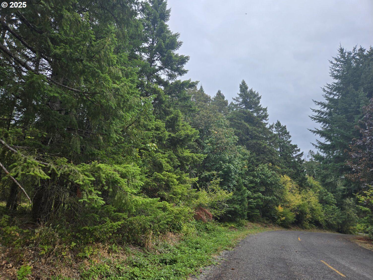 Property Photo:  Montell Terrace  WA 98648 