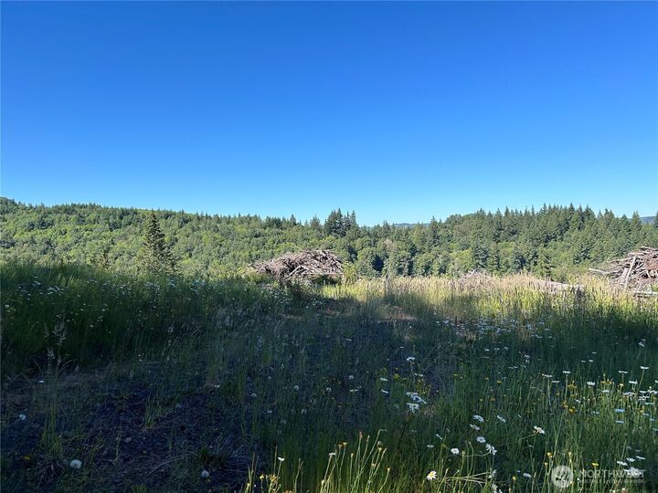 Property Photo:  125  Talkeetna Heights Place  WA 98626 