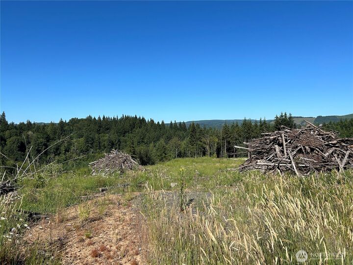 Property Photo: 125 Talkeetna Heights Place WA 98626