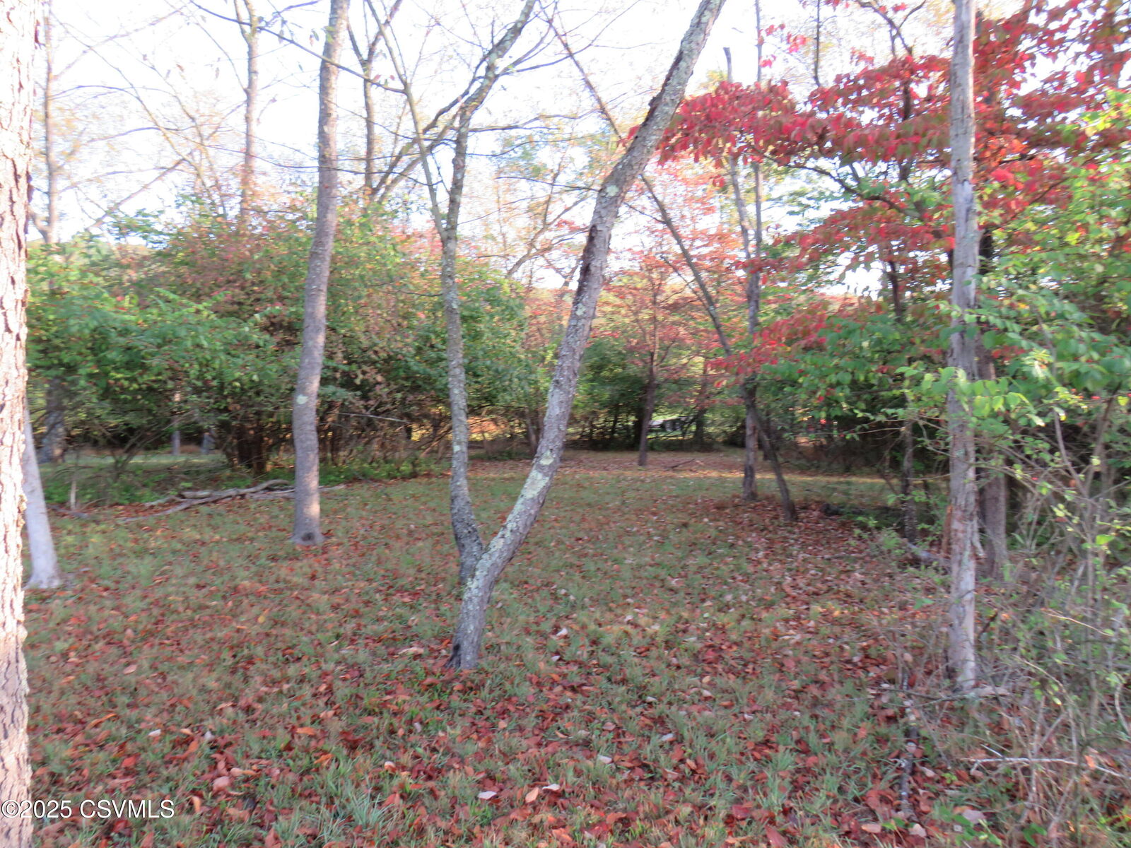 Property Photo:  Valley West Road  PA 17821 