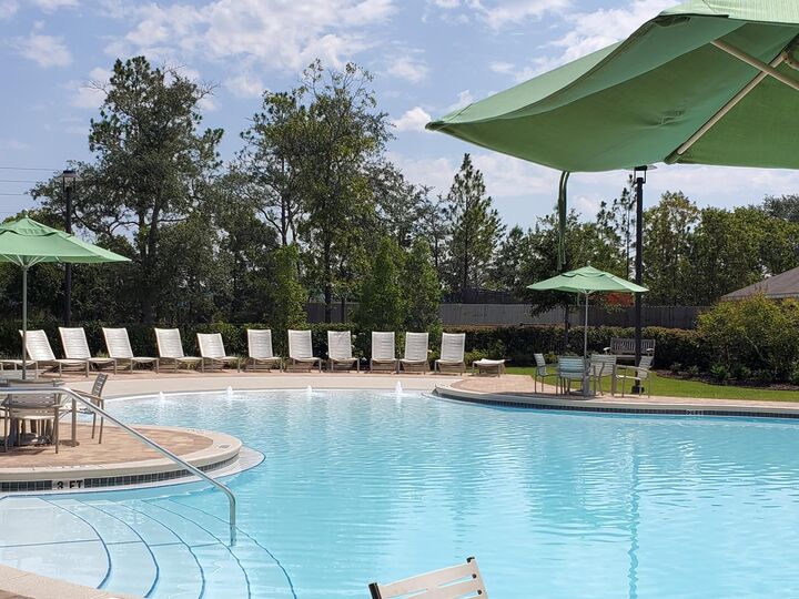 Property Photo:  931 Merganser Way  FL 32539