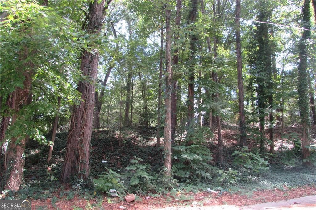 Property Photo: 0 Melbenan Drive SW GA 30311