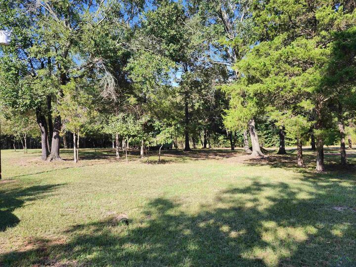 Property Photo:  459 Bass Tbd Fm 729  TX 75563 