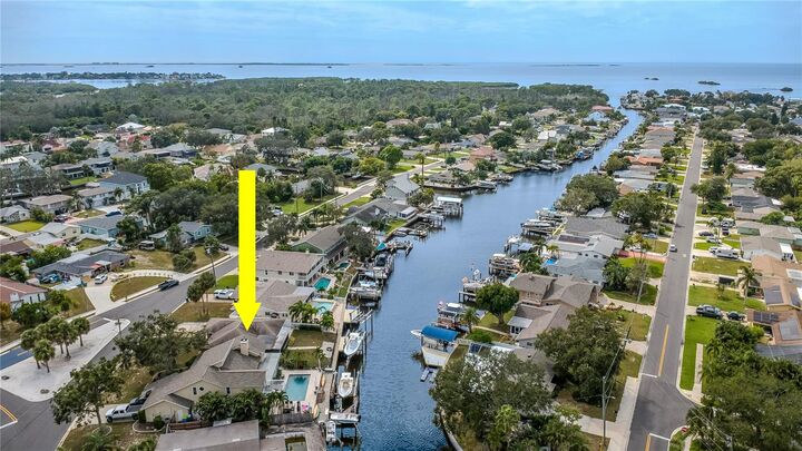 Property Photo: 415 Crosswinds Drive FL 34683