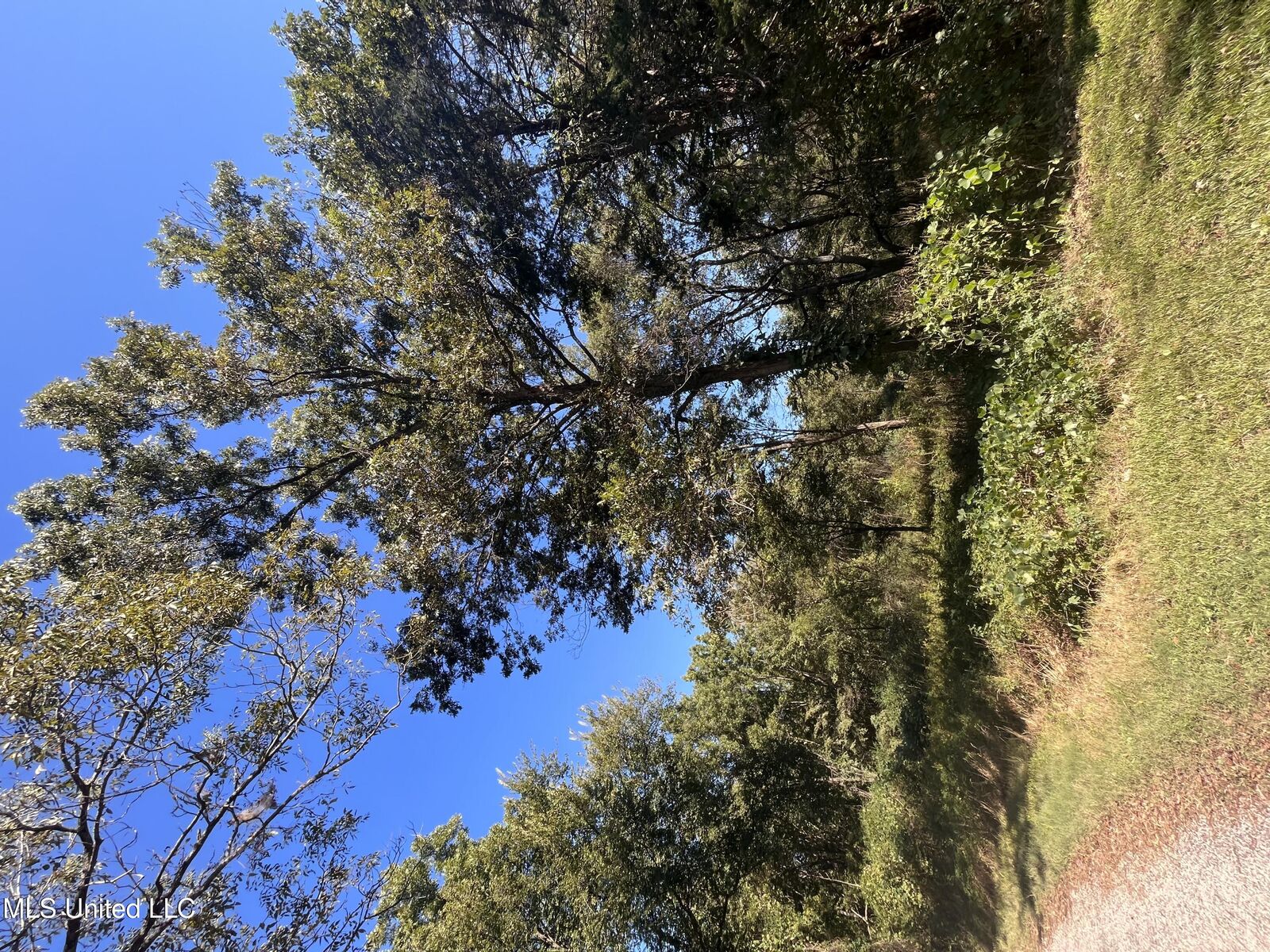 Property Photo:  Betty Walton Road  MS 38619 