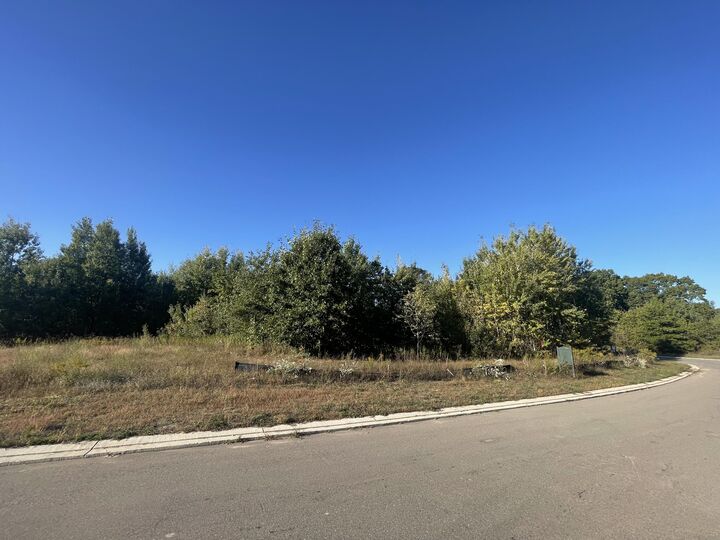 Foxboro Court  Niles MI 49120 photo