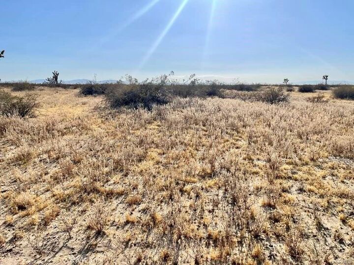 Property Photo:  0 150th Street E  CA 93535 